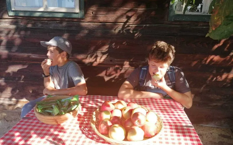 img20230930wa0001.jpg